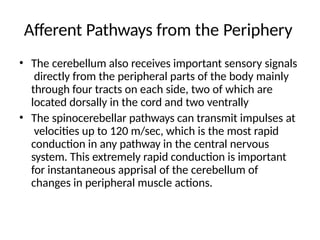 Afferent Pathways from the Periphery
• The cerebellum also receives important sensory signals
directly from the peripheral parts of the body mainly
through four tracts on each side, two of which are
located dorsally in the cord and two ventrally
• The spinocerebellar pathways can transmit impulses at
velocities up to 120 m/sec, which is the most rapid
conduction in any pathway in the central nervous
system. This extremely rapid conduction is important
for instantaneous apprisal of the cerebellum of
changes in peripheral muscle actions.
 