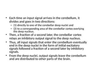 • Each time an input signal arrives in the cerebellum, it
divides and goes in two directions:
– (1) directly to one of the cerebellar deep nuclei and
– (2) to a corresponding area of the cerebellar cortex overlying
the deep nucleus.
• Then, a fraction of a second later, the cerebellar cortex
relays an inhibitory output signal to the deep nucleus.
• Thus, all input signals that enter the cerebellum eventually
end in the deep nuclei in the form of initial excitatory
signals followed a fraction of a second later by inhibitory
signals.
• From the deep nuclei, output signals leave the cerebellum
and are distributed to other parts of the brain.
 