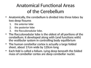 Anatomical Functional Areas
of the Cerebellum
• Anatomically, the cerebellum is divided into three lobes by
two deep fissures
1. the anterior lobe
2. the posterior lobe
3. the flocculonodular lobe.
• The flocculonodular lobe is the oldest of all portions of the
cerebellum; it developed along with (and functions with)
the vestibular system in controlling body equilibrium
• The human cerebellar cortex is actually a large folded
sheet, about 17cm wide by 120cm long
• Each fold is called a folium. Lying deep beneath the folded
mass of cerebellar cortex are deep cerebellar nuclei.
 