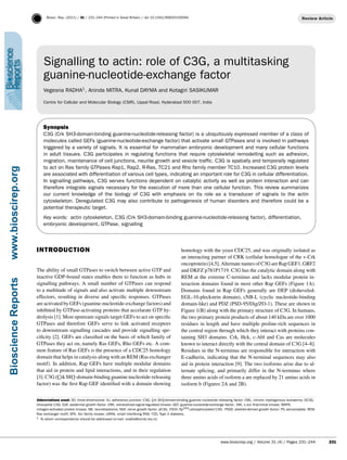 Biosci. Rep. (2011) / 31 / 231–244 (Printed in Great Britain) / doi 10.1042/BSR20100094
Signalling to actin: role of C3G, a multitasking
guanine-nucleotide-exchange factor
Vegesna RADHA1
, Aninda MITRA, Kunal DAYMA and Kotagiri SASIKUMAR
Centre for Cellular and Molecular Biology (CSIR), Uppal Road, Hyderabad 500 007, India
'
&
$
%
Synopsis
C3G (Crk SH3-domain-binding guanine-nucleotide-releasing factor) is a ubiquitously expressed member of a class of
molecules called GEFs (guanine-nucleotide-exchange factor) that activate small GTPases and is involved in pathways
triggered by a variety of signals. It is essential for mammalian embryonic development and many cellular functions
in adult tissues. C3G participates in regulating functions that require cytoskeletal remodelling such as adhesion,
migration, maintenance of cell junctions, neurite growth and vesicle trafﬁc. C3G is spatially and temporally regulated
to act on Ras family GTPases Rap1, Rap2, R-Ras, TC21 and Rho family member TC10. Increased C3G protein levels
are associated with differentiation of various cell types, indicating an important role for C3G in cellular differentiation.
In signalling pathways, C3G serves functions dependent on catalytic activity as well as protein interaction and can
therefore integrate signals necessary for the execution of more than one cellular function. This review summarizes
our current knowledge of the biology of C3G with emphasis on its role as a transducer of signals to the actin
cytoskeleton. Deregulated C3G may also contribute to pathogenesis of human disorders and therefore could be a
potential therapeutic target.
Key words: actin cytoskeleton, C3G (Crk SH3-domain-binding guanine-nucleotide-releasing factor), differentiation,
embryonic development, GTPase, signalling
INTRODUCTION
The ability of small GTPases to switch between active GTP and
inactive GDP-bound states enables them to function as hubs in
signalling pathways. A small number of GTPases can respond
to a multitude of signals and also activate multiple downstream
effectors, resulting in diverse and speciﬁc responses. GTPases
are activated by GEFs (guanine-nucleotide-exchange factors) and
inhibited by GTPase-activating proteins that accelarate GTP hy-
drolysis [1]. Most upstream signals target GEFs to act on speciﬁc
GTPases and therefore GEFs serve to link activated receptors
to downstream signalling cascades and provide signalling spe-
ciﬁcity [2]. GEFs are classiﬁed on the basis of which family of
GTPases they act on, namely Ras GEFs, Rho GEFs etc. A com-
mon feature of Ras GEFs is the presence of a CDC25 homology
domain that helps in catalysis along with an REM (Ras exchanger
motif). In addition, Rap GEFs have multiple modular domains
that aid in protein and lipid interactions, and in their regulation
[3]. C3G (Crk SH3-domain-binding guanine nucleotide-releasing
factor) was the ﬁrst Rap GEF identiﬁed with a domain showing
............................................................................................................................................................................................................................................................................................................
Abbreviations used: 3D, three-dimensional: AJ, adherence junction; C3G, Crk SH3-domain-binding guanine nucleotide releasing factor; CML, chronic myelogenous leukaemia; DC3G,
Drosophila C3G; EGF, epidermal growth factor; ERK, extracellular-signal-regulated kinase; GEF, guanine-nucleotide-exchange factor; JNK, c-Jun N-terminal kinase; MAPK,
mitogen-activated protein kinase; NB, neuroblastoma; NGF, nerve growth factor; pC3G, Y504 (Tyr504)-phosphorylated C3G; PDGF, platelet-derived growth factor; PV, pervanadate; REM,
Ras exchanger motif; SFK, Src family kinase; siRNA, small interfering RNA; T2D, Type 2 diabetes.
1 To whom correspondence should be addressed (e-mail: vradha@ccmb.res.in)
homology with the yeast CDC25, and was originally isolated as
an interacting partner of CRK (cellular homologue of the v-Crk
oncoprotein) [4,5]. Alternate names of C3G are Rap GEF1, GRF2
and DKFZ p781P1719. C3G has the catalytic domain along with
REM at the extreme C-terminus and lacks modular protein in-
teraction domains found in most other Rap GEFs (Figure 1A).
Domains found in Rap GEFs generally are DEP (disheveled-
EGL-10-pleckstrin domain), cNB-L (cyclic nucleotide-binding
domain-like) and PDZ (PSD-95/Dig/ZO-1). These are shown in
Figure 1(B) along with the primary structure of C3G. In humans,
the two primary protein products of about 140 kDa are over 1000
residues in length and have multiple proline-rich sequences in
the central region through which they interact with proteins con-
taining SH3 domains. Crk, Hck, c-Abl and Cas are molecules
known to interact directly with the central domain of C3G [4–8].
Residues in the N-terminus are responsible for interaction with
E-cadherin, indicating that the N-terminal sequences may also
aid in protein interaction [9]. The two isoforms arise due to al-
ternate splicing, and primarily differ in the N-terminus where
three amino acids of isoform a are replaced by 21 amino acids in
isoform b (Figures 2A and 2B).
www.bioscirep.org / Volume 31 (4) / Pages 231–244 231
BioscienceReportswww.bioscirep.org
 