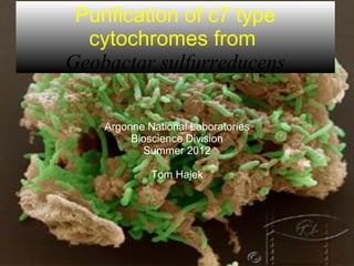 Purification of c7 type
cytochromes from
Geobactar sulfurreducens
Argonne National Laboratories
Bioscience Division
Summer 2012
Tom Hajek
 