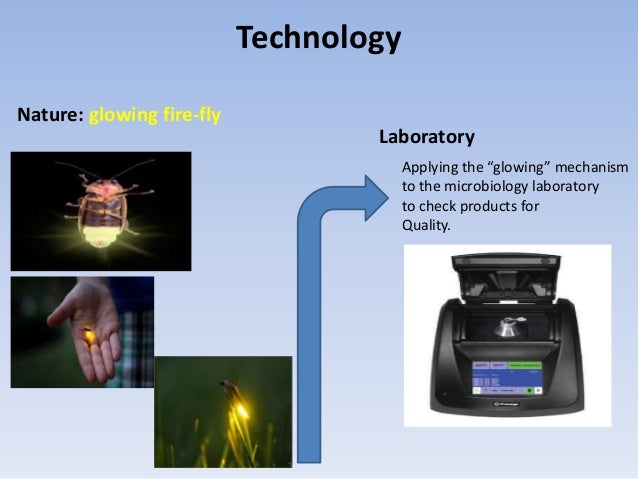 Nature Of Science Physics Hl Nature Of Science Physics Hl