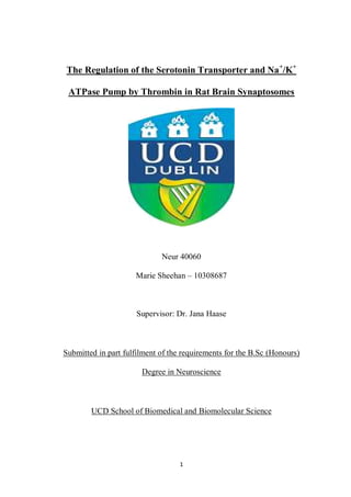 1
The Regulation of the Serotonin Transporter and Na+
/K+
ATPase Pump by Thrombin in Rat Brain Synaptosomes
Neur 40060
Marie Sheehan – 10308687
Supervisor: Dr. Jana Haase
Submitted in part fulfilment of the requirements for the B.Sc (Honours)
Degree in Neuroscience
UCD School of Biomedical and Biomolecular Science
 