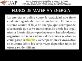 FLUJOS DE MATERIA Y ENERGIA
 