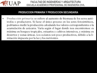 PRODUCCION PRIMARIA Y PRODUCCION SECUNDARIA
 