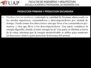 PRODUCCION PRIMARIA Y PRODUCCION SECUNDARIA
 