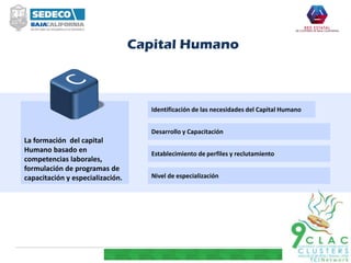 La formación del capital
Humano basado en
competencias laborales,
formulación de programas de
capacitación y especialización.
Desarrollo y Capacitación
Establecimiento de perfiles y reclutamiento
Nivel de especialización
Identificación de las necesidades del Capital Humano
Capital Humano
 