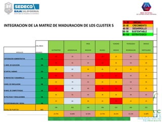 INTEGRACION DE LA MATRIZ DE MADURACION DE LOS CLUSTER S
VALORES
PROD TURISMO TECNOLOGIA MEDICO
MODULOS MAXIMOS
AUTOMOTRIZ AEROESPACIAL MEDICOS MUEBLE MEDICO INFORMACION HOPITALARIO
I INTEGRACION ADMINISTRATIVA 100
20 50 45 20 25 50 35
I I .NIVEL DE EJECUCION 100
20 45 50 20 25 50 30
III CAPITAL HUMANO 100
25 60 30 25 30 35 35
IV PROYECTOS Y DESARROLLO 100
20 55 50 20 20 45 25
V NIVEL DE VINCULACION 100
25 70 55 25 35 50 35
VI NIVEL DE COMPETITIVIDAD 100
20 60 40 20 20 50 25
VII POLITICAS Y REGULACIONES 100
35 55 40 35 35 40 45
VIII RESPONSABILIDAD SOCIAL 100
25 60 30 25 20 25 25
TOTAL DE PUNTOS 800
190 455 340 190 210 345 255
23.75% 56.88% 42.50% 23.75% 26.25% 43.13% 31.88%
0- 20 INICIAL
20- 40 CRECIMIENTO
40- 60 DESARROLLO
60- 80 SUSTENTABLE
80-100 ESTRATEGICO
 