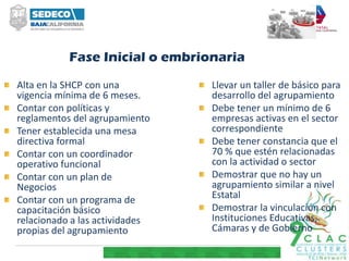 Fase Inicial o embrionaria
Alta en la SHCP con una
vigencia mínima de 6 meses.
Contar con políticas y
reglamentos del agrupamiento
Tener establecida una mesa
directiva formal
Contar con un coordinador
operativo funcional
Contar con un plan de
Negocios
Contar con un programa de
capacitación básico
relacionado a las actividades
propias del agrupamiento
Llevar un taller de básico para
desarrollo del agrupamiento
Debe tener un mínimo de 6
empresas activas en el sector
correspondiente
Debe tener constancia que el
70 % que estén relacionadas
con la actividad o sector
Demostrar que no hay un
agrupamiento similar a nivel
Estatal
Demostrar la vinculación con
Instituciones Educativas,
Cámaras y de Gobierno
 
