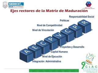 Integración Administrativa
Nivel de Ejecución
Capital Humano
Proyectos y Desarrollo
Nivel de Vinculación
Nivel de Competitividad
Politicas
Ejes rectores de la Matriz de Maduración
Responsabilidad Social
 