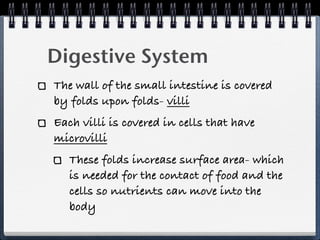 Digestive System
The wall of the small intestine is covered
by folds upon folds- villi
Each villi is covered in cells that have
microvilli
   These folds increase surface area- which
   is needed for the contact of food and the
   cells so nutrients can move into the
   body
 