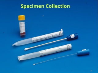 9 COLLECTION AND TRANSPORT OF SAMPLES IN MICROBIOLOGY .ppt