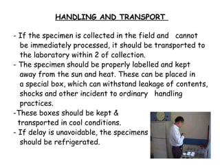 9 COLLECTION AND TRANSPORT OF SAMPLES IN MICROBIOLOGY .ppt