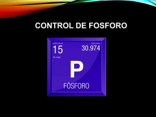 CONTROL DE FOSFORO
 