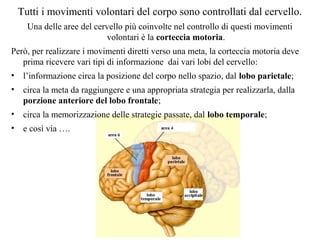 corteccia-motoria-ppt