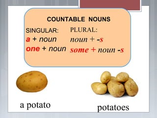 SINGULAR:
a + noun
one + noun
PLURAL:
noun + -s
some + noun -s
COUNTABLE NOUNS
potatoesa potato
 