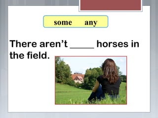 There aren’t _____ horses in
the field.
7-8 Let’s Practice
some any
 