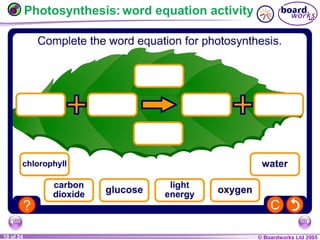© Boardworks Ltd 20041 of 20 © Boardworks Ltd 200510 of 24
Photosynthesis: word equation activity
 