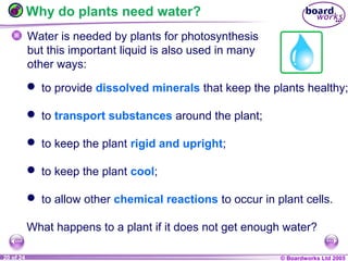 © Boardworks Ltd 20041 of 20 © Boardworks Ltd 200520 of 24
Why do plants need water?
Water is needed by plants for photosynthesis
but this important liquid is also used in many
other ways:
 to provide dissolved minerals that keep the plants healthy;
 to transport substances around the plant;
 to keep the plant rigid and upright;
 to keep the plant cool;
 to allow other chemical reactions to occur in plant cells.
What happens to a plant if it does not get enough water?
 