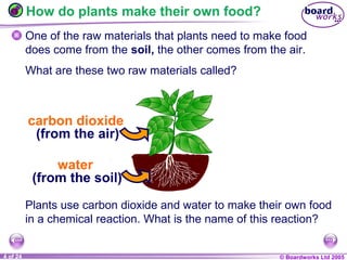 © Boardworks Ltd 20041 of 20 © Boardworks Ltd 20054 of 24
How do plants make their own food?
One of the raw materials that plants need to make food
does come from the soil, the other comes from the air.
What are these two raw materials called?
Plants use carbon dioxide and water to make their own food
in a chemical reaction. What is the name of this reaction?
carbon dioxide
(from the air)
water
(from the soil)
 