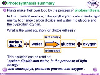 © Boardworks Ltd 20041 of 20 © Boardworks Ltd 20058 of 24
Photosynthesis summary
Plants make their own food by the process of photosynthesis.
In this chemical reaction, chlorophyll in plant cells absorbs light
energy to change carbon dioxide and water into glucose and
the by-product oxygen.
What is the word equation for photosynthesis?
glucose
light energy
chlorophyll
carbon
dioxide water oxygen
This equation can be read as:
“carbon dioxide and water, in the presence of light
energy
and chlorophyll, produces glucose and oxygen”.
 
