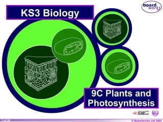 KS3 Biology




                         9C Plants and
                        Photosynthesis
1 of 24
     20                          © Boardworks Ltd 2004
                                                  2005
 