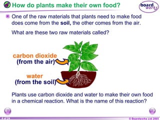 9 c plants and photosynthesis | PPT