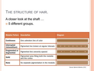 Forensic Science - 04 Hair | PPTX
