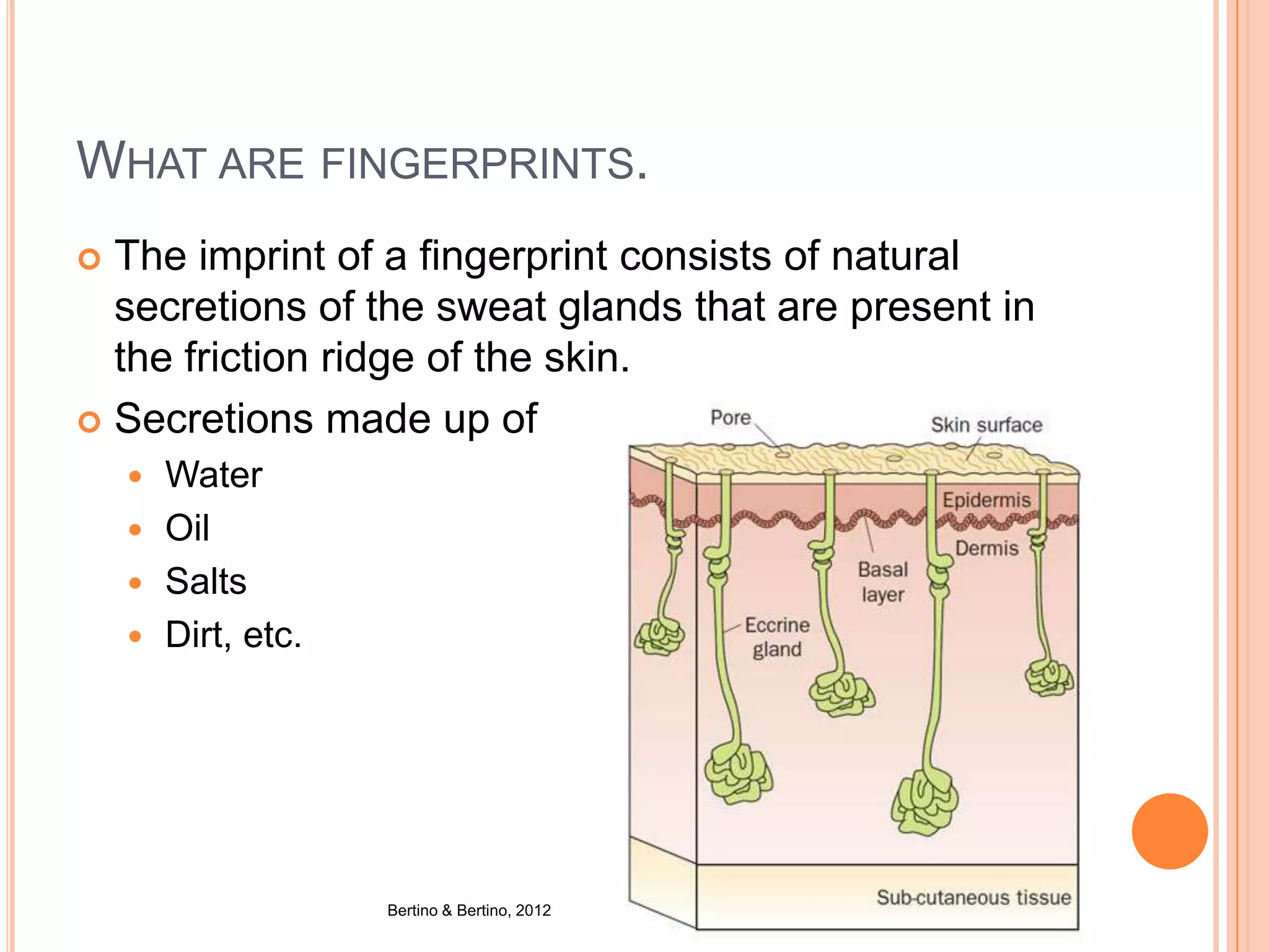 WHAT ARE FINGERPRINTS.
 The imprint of a fingerprint consists of natural
secretions of the sweat glands that are present in
the friction ridge of the skin.
 Secretions made up of
 Water
 Oil
 Salts
 Dirt, etc.
Bertino & Bertino, 2012
 