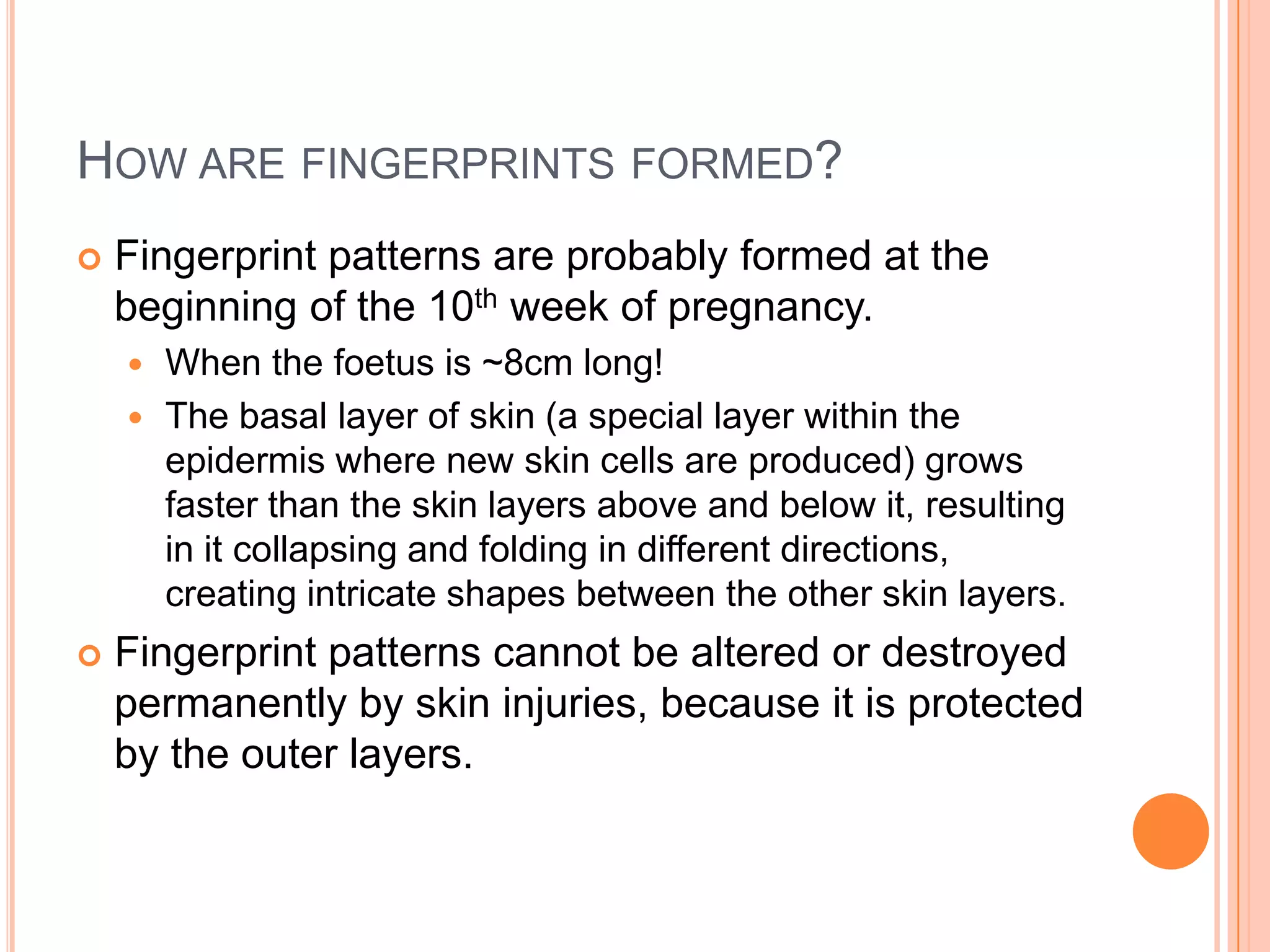 HOW ARE FINGERPRINTS FORMED?
 Fingerprint patterns are probably formed at the
beginning of the 10th week of pregnancy.
 When the foetus is ~8cm long!
 The basal layer of skin (a special layer within the
epidermis where new skin cells are produced) grows
faster than the skin layers above and below it, resulting
in it collapsing and folding in different directions,
creating intricate shapes between the other skin layers.
 Fingerprint patterns cannot be altered or destroyed
permanently by skin injuries, because it is protected
by the outer layers.
 