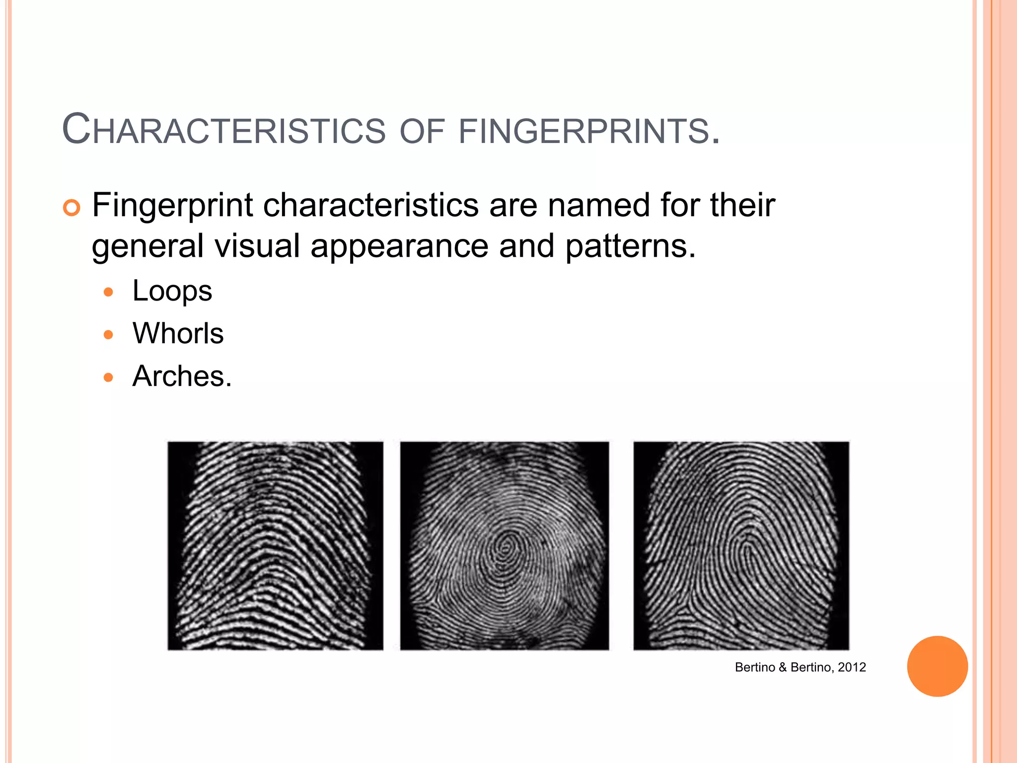 CHARACTERISTICS OF FINGERPRINTS.
 Fingerprint characteristics are named for their
general visual appearance and patterns.
 Loops
 Whorls
 Arches.
Bertino & Bertino, 2012
 