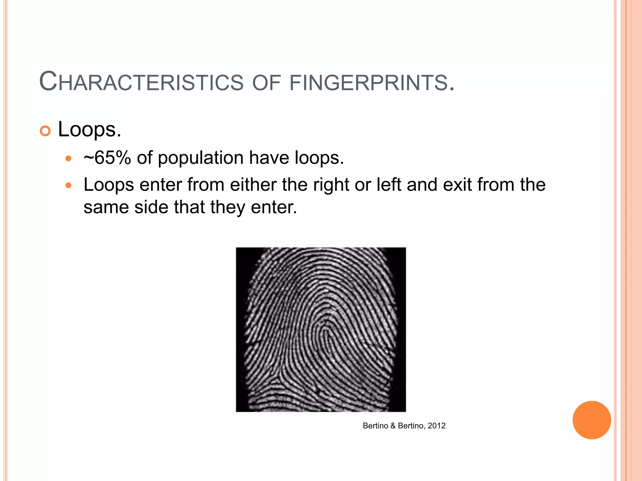CHARACTERISTICS OF FINGERPRINTS.
 Loops.
 ~65% of population have loops.
 Loops enter from either the right or left and exit from the
same side that they enter.
Bertino & Bertino, 2012
 