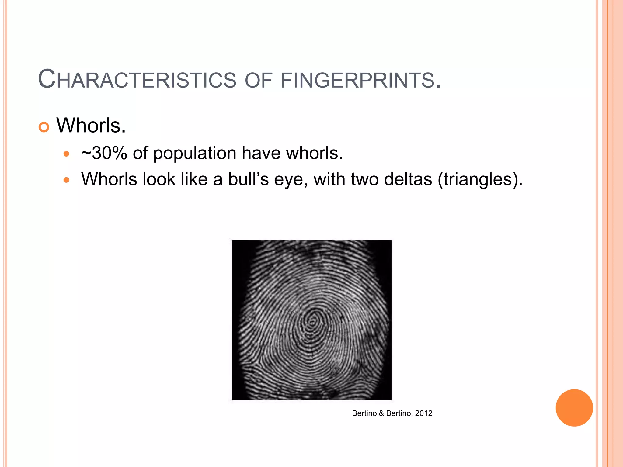 CHARACTERISTICS OF FINGERPRINTS.
 Whorls.
 ~30% of population have whorls.
 Whorls look like a bull’s eye, with two deltas (triangles).
Bertino & Bertino, 2012
 