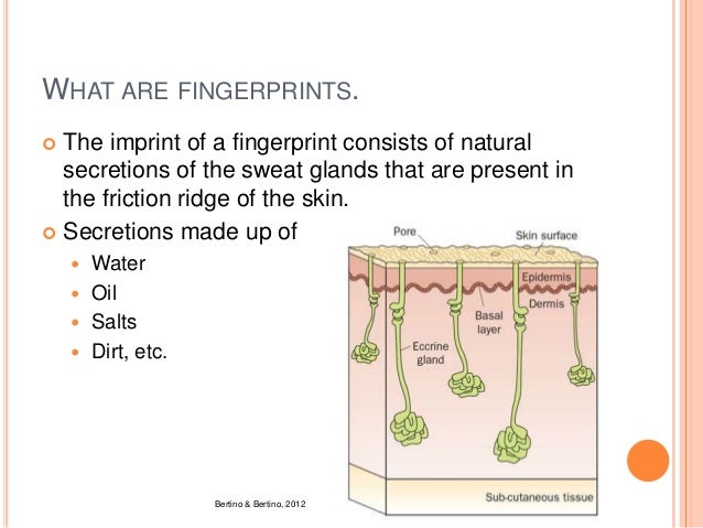 Forensic Science - 05 Fingerprints