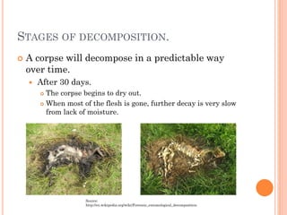 STAGES OF DECOMPOSITION.


A corpse will decompose in a predictable way
over time.


After 30 days.
The corpse begins to dry out.
 When most of the flesh is gone, further decay is very slow
from lack of moisture.


Source:
http://en.wikipedia.org/wiki/Forensic_entomological_decomposition

 