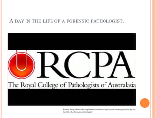 A DAY IN THE LIFE OF A FORENSIC PATHOLOGIST.

Source: http://www.vifm.org/forensics/medico-legal-death-investigation/a-day-inthe-life-of-a-forensic-pathologist/

 