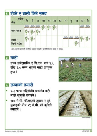 sfFqmf] v]tL k|ljlw
$ 	/f]Kg] / afnL lng] ;do
dlxgf
If]q j} h] c ;f ef cf sf d+ k' df kmf r}
dWo kxf8
t/fO{÷
leqL dw];
-hft, :yfgLo xfjfkfgL / k|ljlw cg';f/ nufpg] / afnL lng] ;do km/s x'g ;S5 ._
% 	df6f]
pRr pj{/fzlQm / lk=Pr= dfg %=%
b]lv ^=* ;Dd ePsf] df6f] pko'Qm
x'G5 .
^ 	hUufsf] tof/L
@–# k6s ulx/f];“u vghf]t u/L
df6f] v's'nf] agfpg] .
!*) ;]=dL= rf}8fOsf] 8ofª / b'O{
8ofªsf] aLr @% ;]=dL= sf] s'n];f]
agfpg] .
ð
ð
Illustrations courtesy FAO Nepal.
!*) ;]=dL=
8ofª
s'n];f]
@% ;]=dL=
Photo: Fintrac
 