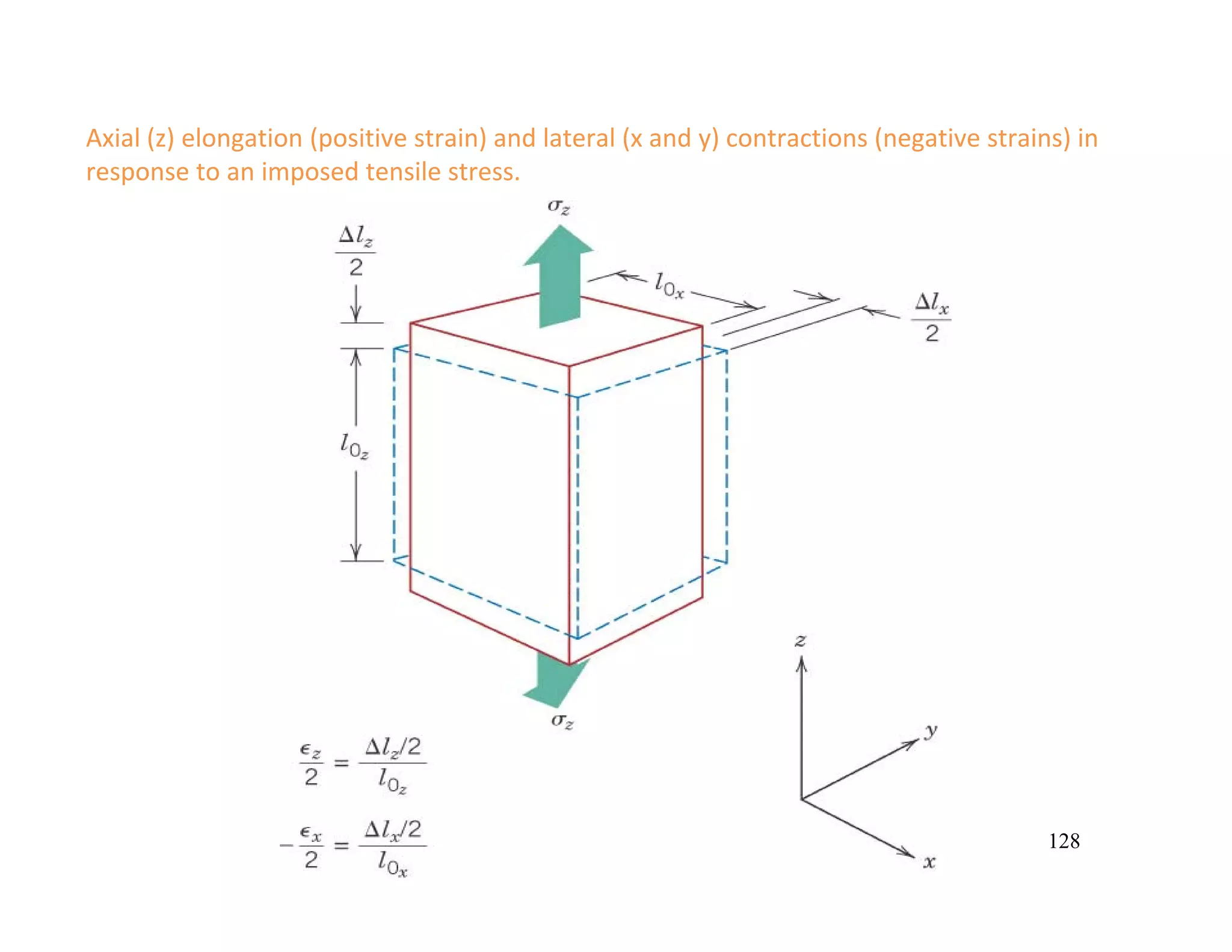 128
Axial (z) elongation (positive strain) and lateral (x and y) contractions (negative strains) in 
response to an imposed tensile stress. 
 