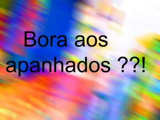   Bora aos apanhados ??!