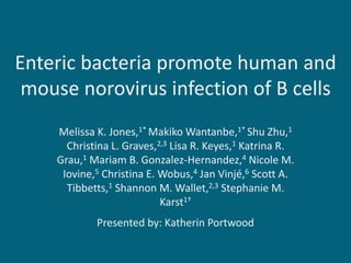 Enteric bacteria promote human and
mouse norovirus infection of B cells
Melissa K. Jones,1* Makiko Wantanbe,1* Shu Zhu,1
Christina L. Graves,2,3 Lisa R. Keyes,1 Katrina R.
Grau,1 Mariam B. Gonzalez-Hernandez,4 Nicole M.
Iovine,5 Christina E. Wobus,4 Jan Vinjé,6 Scott A.
Tibbetts,1 Shannon M. Wallet,2,3 Stephanie M.
Karst1†
Presented by: Katherin Portwood
 