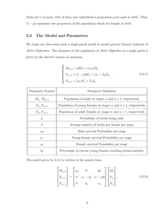 birth rate r in years. Out of these new individuals a proportion p are male at birth. Thus,
(1 − p) represents the proportion of the population which are female at birth.
3.2 The Model and Parameters
We begin our discussion with a single-patch model to model general (linear) behavior of
Ateles Hybridus. The dynamics of the population of Ateles Hybridus in a single patch is
given by the discrete system of equations



Mn+1 = pbFn + (sM )Mn
Yn+1 = (1 − p)bFn + (sY − δ0)Yn
Fn+1 = (sF )Fn + Ynδ0
. (3.2.1)
Parameter Symbol Parameter Deﬁnition
Mn, Mn+1 Population of males at stages n and n + 1, respectively
Yn, Yn+1 Population of young females at stages n and n + 1, respectively
Fn, Fn+1 Population of adult females at stages n and n + 1, respectively
p Probability of births being male
b Average number of births per female per stage
sM Male survival Probability per stage
sY Young female survival Probability per stage
sF Female survival Probability per stage
δ0 Percentage of current young females reaching sexual maturity
The model given by 3.2.1 is written in the matrix form






Mn+1
Yn+1
Fn+1






=






sM 0 pb
0 sY − δ0 (1 − p)b
0 δ0 sF












Mn
Yn
Fn






, (3.2.2)
9
 