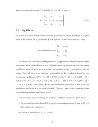 where the projection matrix J, deﬁned by Xn+1 = JXn is given by
J =






sM 0 pb
0 sY − δ0 (1 − p)b
0 δ0 sF






. (3.2.3)
3.3 Equilibria
Equilibria in a linear system occur when the population of Ateles Hybridus at a given
stage is the same as the population of Ateles Hybridus at the immediate next stage.
Equilibria occur when



Mn+1 = Mn
Yn+1 = Yn
Fn+1 = Fn
We assume that continuation of the population is dependent on all three members of the
population. Thus, either there will be a stable extinction equilibrium, or a tri-coexistence
equilibrium where all three state variables corresponding to the population are alive at
a time. Since all three state variables corresponding to the population depend on one
another, an equilibrium (M, Y, F) = (M = 0, 0, 0), (M, Y, F) = (0, Y = 0, 0), (M, Y, F) =
(0, 0, F = 0), (M, Y, F) = (0, Y = 0, F = 0), (M, Y, F) = (M = 0, 0, F = 0), (M, Y, F) =
(M = 0, Y = 0, 0) cannot exist. Either the coexistence equilibrium or the extinction
equilibrium will be stable at one time; not both. To justify those criteria, we create simple
population assumptions used in our model:
• It is assumed males are living and available to fertilize females at a given time,
• The system is partially decoupled, as the above assumption means as long as M > 0,
then females can reproduce,
• Consider a submatrix of J, Jsub, where
10
 