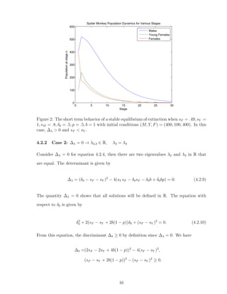 0 5 10 15 20 25 30
0
100
200
300
400
500
600
Stage
Populationatstagen
Spider Monkey Population Dynamics for Various Stages
Males
Young Females
Females
Figure 2: The short term behavior of a stable equilibrium of extinction when sF = .49, sY =
1, sM = .8, δ0 = .5, p = .5, b = 1 with initial conditions (M, Y, F) = (400, 100, 400). In this
case, ∆λ > 0 and sF < sY .
4.2.2 Case 2: ∆λ = 0 → λ2,3 ∈ R, λ2 = λ3
Consider ∆λ = 0 for equation 4.2.4, then there are two eigenvalues λ2 and λ3 in R that
are equal. The determinant is given by
∆λ = (δ0 − sF − sY )2
− 4(sY sF − δ0sF − δ0b + δ0bp) = 0. (4.2.9)
The quantity ∆λ = 0 shows that all solutions will be deﬁned in R. The equation with
respect to δ0 is given by
δ2
0 + 2(sF − sY + 2b(1 − p))δ0 + (sF − sY )2
= 0. (4.2.10)
From this equation, the discriminant ∆δ ≥ 0 by deﬁnition since ∆λ = 0. We have
∆δ =(2sF − 2sY + 4b(1 − p))2
− 4(sF − sY )2
,
(sF − sY + 2b(1 − p))2
− (sF − sY )2
≥ 0.
16
 