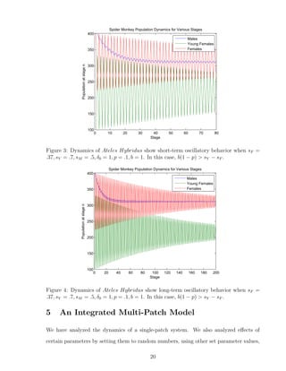 0 10 20 30 40 50 60 70 80
100
150
200
250
300
350
400
Stage
Populationatstagen
Spider Monkey Population Dynamics for Various Stages
Males
Young Females
Females
Figure 3: Dynamics of Ateles Hybridus show short-term oscillatory behavior when sF =
.37, sY = .7, sM = .5, δ0 = 1, p = .1, b = 1. In this case, b(1 − p) > sY − sF .
0 20 40 60 80 100 120 140 160 180 200
100
150
200
250
300
350
400
Stage
Populationatstagen
Spider Monkey Population Dynamics for Various Stages
Males
Young Females
Females
Figure 4: Dynamics of Ateles Hybridus show long-term oscillatory behavior when sF =
.37, sY = .7, sM = .5, δ0 = 1, p = .1, b = 1. In this case, b(1 − p) > sY − sF .
5 An Integrated Multi-Patch Model
We have analyzed the dynamics of a single-patch system. We also analyzed eﬀects of
certain parameters by setting them to random numbers, using other set parameter values,
20
 