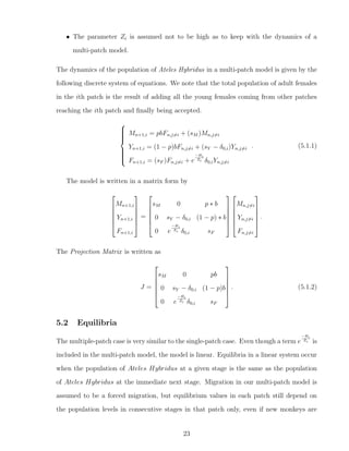 • The parameter Zi is assumed not to be high as to keep with the dynamics of a
multi-patch model.
The dynamics of the population of Ateles Hybridus in a multi-patch model is given by the
following discrete system of equations. We note that the total population of adult females
in the ith patch is the result of adding all the young females coming from other patches
reaching the ith patch and ﬁnally being accepted.



Mn+1,i = pbFn,j=i + (sM )Mn,j=i
Yn+1,i = (1 − p)bFn,j=i + (sY − δ0,i)Yn,j=i
Fn+1,i = (sF )Fn,j=i + e
−Hi
Zi δ0,iYn,j=i
. (5.1.1)
The model is written in a matrix form by






Mn+1,i
Yn+1,i
Fn+1,i






=






sM 0 p ∗ b
0 sY − δ0,i (1 − p) ∗ b
0 e
−Hi
Zi δ0,i sF












Mn,j=i
Yn,j=i
Fn,j=i






.
The Projection Matrix is written as
J =






sM 0 pb
0 sY − δ0,i (1 − p)b
0 e
−Hi
Zi δ0,i sF






. (5.1.2)
5.2 Equilibria
The multiple-patch case is very similar to the single-patch case. Even though a term e
−Hi
Zi is
included in the multi-patch model, the model is linear. Equilibria in a linear system occur
when the population of Ateles Hybridus at a given stage is the same as the population
of Ateles Hybridus at the immediate next stage. Migration in our multi-patch model is
assumed to be a forced migration, but equilibrium values in each patch still depend on
the population levels in consecutive stages in that patch only, even if new monkeys are
23
 