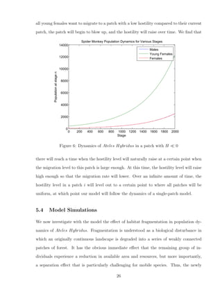 all young females want to migrate to a patch with a low hostility compared to their current
patch, the patch will begin to blow up, and the hostility will raise over time. We ﬁnd that
0 200 400 600 800 1000 1200 1400 1600 1800 2000
0
2000
4000
6000
8000
10000
12000
14000
Stage
Populationatstagen
Spider Monkey Population Dynamics for Various Stages
Males
Young Females
Females
Figure 6: Dynamics of Ateles Hybridus in a patch with H 0
there will reach a time when the hostility level will naturally raise at a certain point when
the migration level to this patch is large enough. At this time, the hostility level will raise
high enough so that the migration rate will lower. Over an inﬁnite amount of time, the
hostility level in a patch i will level out to a certain point to where all patches will be
uniform, at which point our model will follow the dynamics of a single-patch model.
5.4 Model Simulations
We now investigate with the model the eﬀect of habitat fragmentation in population dy-
namics of Ateles Hybridus. Fragmentation is understood as a biological disturbance in
which an originally continuous landscape is degraded into a series of weakly connected
patches of forest. It has the obvious immediate eﬀect that the remaining group of in-
dividuals experience a reduction in available area and resources, but more importantly,
a separation eﬀect that is particularly challenging for mobile species. Thus, the newly
26
 