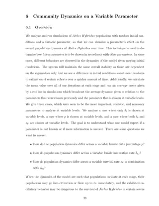 6 Community Dynamics on a Variable Parameter
6.1 Overview
We analyze and run simulations of Ateles Hybridus populations with random initial con-
ditions and a variable parameter, so that we can visualize a parameter’s eﬀect on the
overall population dynamics of Ateles Hybridus over time. This technique is used to de-
termine how free a parameter is to be chosen in accordance with other parameters. In some
cases, diﬀerent behaviors are observed in the dynamics of the model given varying initial
conditions. The system will maintain the same overall stability as those are dependent
on the eigenvalues only, but we see a diﬀerence in initial conditions sometimes translates
to extinction of certain cohorts over a quicker amount of time. Additionally, we calculate
the mean value over all of our iterations at each stage and run an average curve given
by a red line in simulations which broadcast the average dynamic given in relation to the
parameters that were chosen previously and the parameter that is chosen at variable levels.
We give three cases, which were seen to be the most important, realistic, and necessary
parameters to analyze at variable levels. We analyze a case where only δ0 is chosen at
variable levels, a case where p is chosen at variable levels, and a case where both δ0 and
sF are chosen at variable levels. The goal is to understand what one would expect if a
parameter is not known or if more information is needed. There are some questions we
want to answer.
• How do the population dynamics diﬀer across a variable female birth percentage p?
• How do population dynamics diﬀer across a variable female maturation rate δ0,i?
• How do population dynamics diﬀer across a variable survival rate sF in combination
with δ0,i?
When the dynamics of the model are such that populations oscillate at each stage, their
populations may go into extinction or blow up to ∞ immediately, and the exhibited os-
cillatory behavior may be dangerous to the survival of Ateles Hybridus in certain severe
28
 