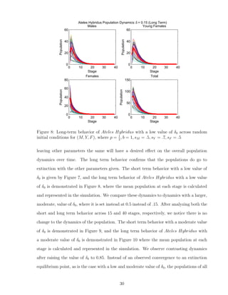 0 10 20 30 40
0
20
40
60
Stage
Population
Males
0 10 20 30 40
0
20
40
60
Stage
Population
Young Females
0 10 20 30 40
0
20
40
60
80
Stage
Population
Females
0 10 20 30 40
0
50
100
150
StagePopulation
Total
Ateles Hybridus Population Dynamics:δ = 0.15 (Long Term)
Figure 8: Long-term behavior of Ateles Hybridus with a low value of δ0 across random
initial conditions for (M, Y, F), where p = 1
2
, b = 1, sM = .5, sY = .7, sF = .5
leaving other parameters the same will have a desired eﬀect on the overall population
dynamics over time. The long term behavior conﬁrms that the populations do go to
extinction with the other parameters given. The short term behavior with a low value of
δ0 is given by Figure 7, and the long term behavior of Ateles Hybridus with a low value
of δ0 is demonstrated in Figure 8, where the mean population at each stage is calculated
and represented in the simulation. We compare these dynamics to dynamics with a larger,
moderate, value of δ0, where it is set instead at 0.5 instead of .15. After analyzing both the
short and long term behavior across 15 and 40 stages, respectively, we notice there is no
change to the dynamics of the population. The short term behavior with a moderate value
of δ0 is demonstrated in Figure 9, and the long term behavior of Ateles Hybridus with
a moderate value of δ0 is demonstrated in Figure 10 where the mean population at each
stage is calculated and represented in the simulation. We observe contrasting dynamics
after raising the value of δ0 to 0.85. Instead of an observed convergence to an extinction
equilibrium point, as is the case with a low and moderate value of δ0, the populations of all
30
 