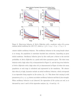0 5 10 15
0
20
40
60
Stage
Population
Males
0 5 10 15
0
10
20
30
40
Stage
Population
Young Females
0 5 10 15
0
20
40
60
80
Stage
Population
Females
0 5 10 15
0
50
100
150
StagePopulation
Total
Ateles Hybridus Population Dynamics:δ=0.5 (Short Term)
Figure 9: Short-term behavior of Ateles Hybridus with a moderate value of δ0 across
random initial conditions for (M, Y, F), where p = 1
2
, b = 1, sM = .5, sY = .7, sF = .5
cohorts exhibit oscillatory behavior. The oscillatory behavior in the young female cohort
is so strong, the population is sometimes knocked into extinction, depending on given
initial conditions. Oscillatory behavior given by this could pose a threat to the survival
probability of Ateles Hybridus in a patch with these parameters given. The short term
behavior with a high value of δ0 is demonstrated in Figure 11, and the long term behavior
of Ateles Hybridus with a high value of δ0 is demonstrated in Figure 12 where the mean
population at each stage is calculated and represented in the simulation. We observe
that when δ0 is high, dynamics include an initial oscillatory behavior, which corresponds
to an eigenvalue being negative in the system, ∆λ < 0. This shows that varying δ0 with
parameters p, b, sY , sF , sM chosen can induce oscillatory behavior and that δ0 has strength.
When oscillatory behavior is not observed, the eigenvalues of the system are real, as is
discussed by cases 1 and 2 of the eigenvalue analysis, ∆λ > 0 and ∆λ = 0.
31
 