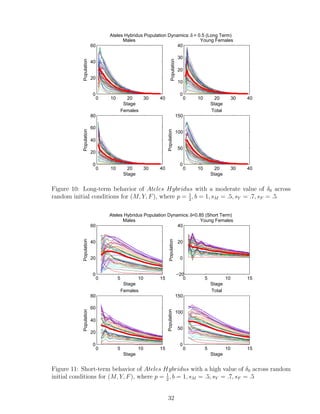0 10 20 30 40
0
20
40
60
Stage
Population
Males
0 10 20 30 40
0
10
20
30
40
Stage
Population
Young Females
0 10 20 30 40
0
20
40
60
80
Stage
Population
Females
0 10 20 30 40
0
50
100
150
Stage
Population
Total
Ateles Hybridus Population Dynamics:δ = 0.5 (Long Term)
Figure 10: Long-term behavior of Ateles Hybridus with a moderate value of δ0 across
random initial conditions for (M, Y, F), where p = 1
2
, b = 1, sM = .5, sY = .7, sF = .5
0 5 10 15
0
20
40
60
Stage
Population
Males
0 5 10 15
−20
0
20
40
Stage
Population
Young Females
0 5 10 15
0
20
40
60
80
Stage
Population
Females
0 5 10 15
0
50
100
150
Stage
Population
Total
Ateles Hybridus Population Dynamics:δ=0.85 (Short Term)
Figure 11: Short-term behavior of Ateles Hybridus with a high value of δ0 across random
initial conditions for (M, Y, F), where p = 1
2
, b = 1, sM = .5, sY = .7, sF = .5
32
 